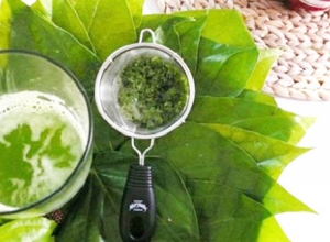 điều trị viêm tuyến tiền liệt tại nhà đơn giản hiệu quả 100% bằng 5 bài thuốc nam